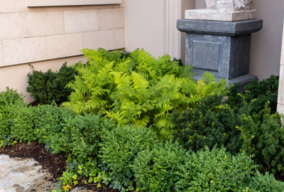 Refined image lawn and landscape, softscapes, snow & ice, lawn cutting & maintenance, residential & commercial lawn care, dunnville, ON